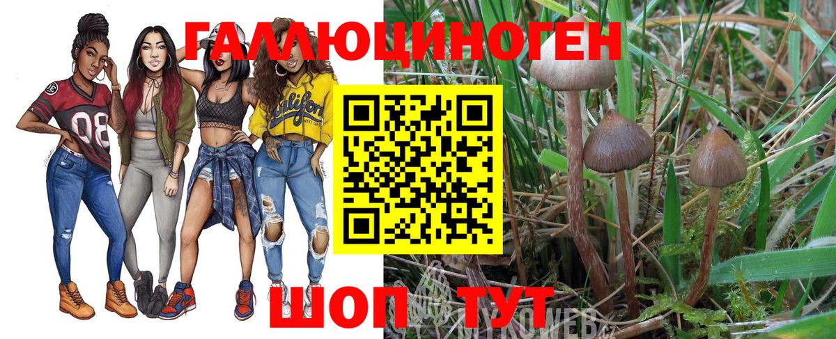 Каменка  Галлюциногенные грибы ЛСД  Псилоцибиновые грибы Psilocybe  Вход с VPN 