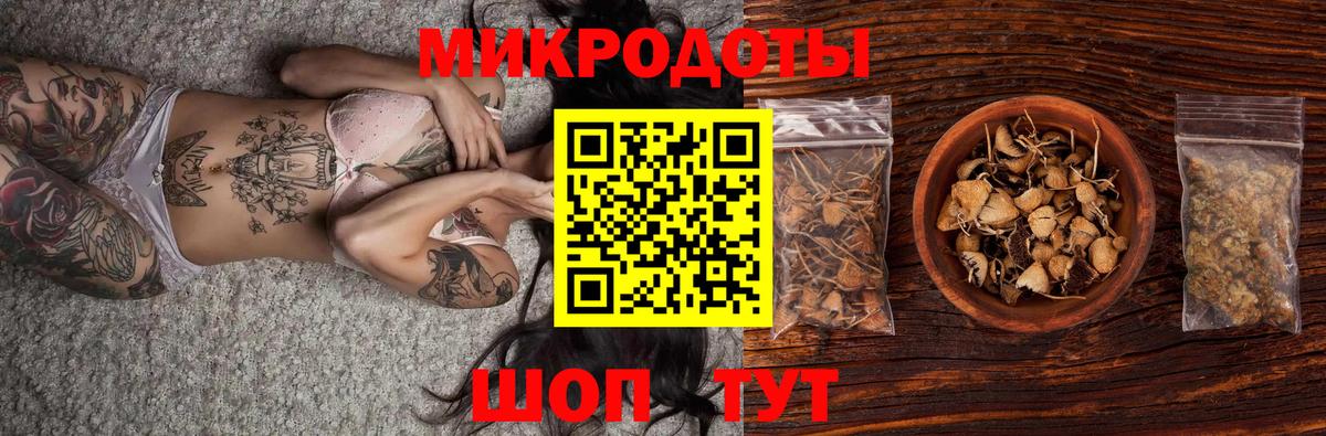 Галлюциногенные грибы ЛСД Каменка